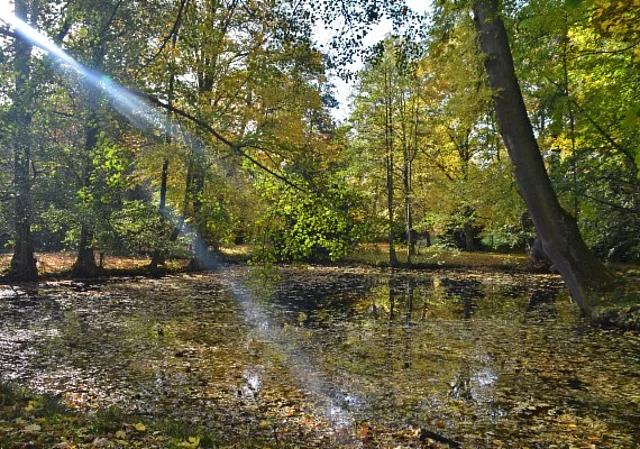 Schlosspark und Landschaftsgarten Ballenstedt