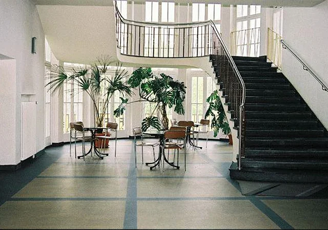 Pionierhaus, Treppe