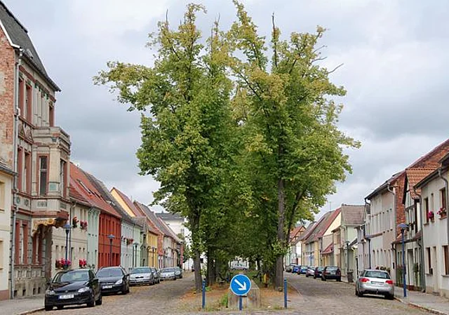 Roßlau, Elbstraße nach Nordost