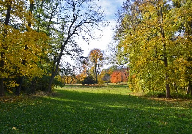 Schlosspark und Landschaftsgarten Ballenstedt