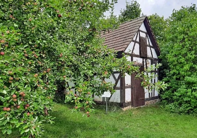 Obstdarre Tonndorf im Pfarrgarten