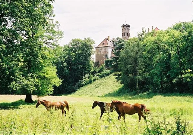 Park, Koppel, Blick zum Schloss