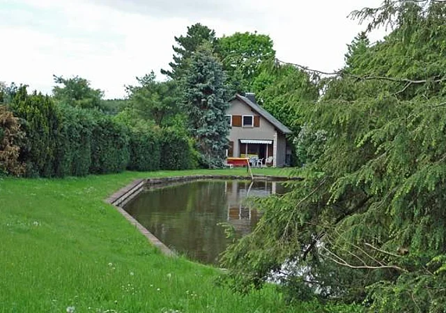 Blick zum Bungalow