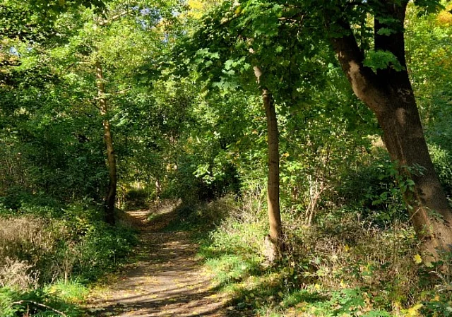 Klusberge Halberstadt