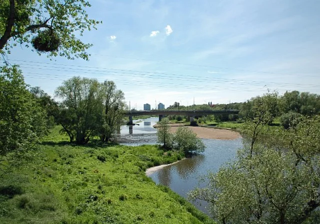 Blick auf die Alte Elbe nach Südwest
