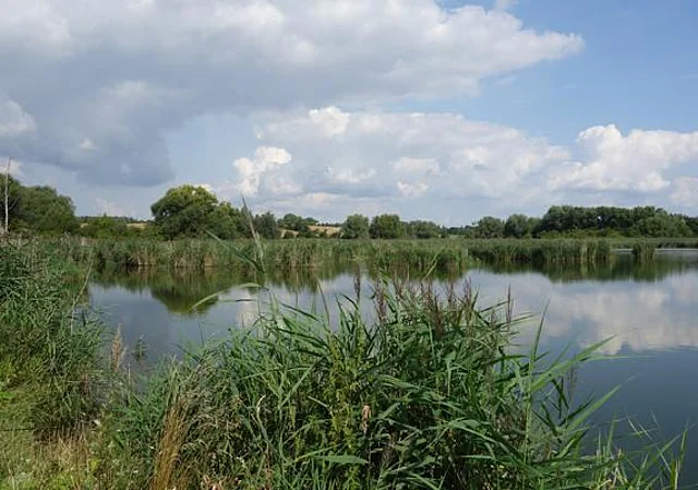 Thomasteich