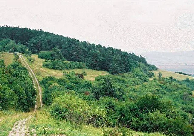 ehemalige innerdeutsche Grenze Blick nach Nordosten