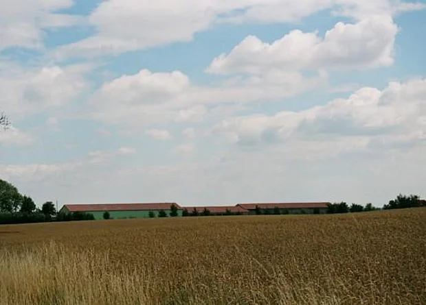Feld bei Meuscha 