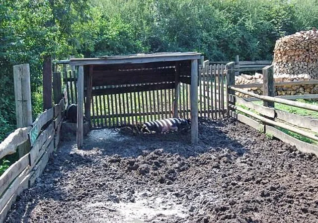 Außenbereich Stallungen