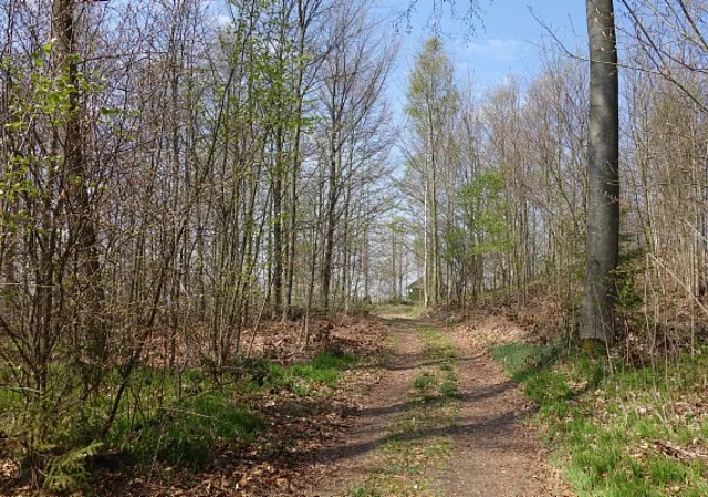 Weg zum Marienstein