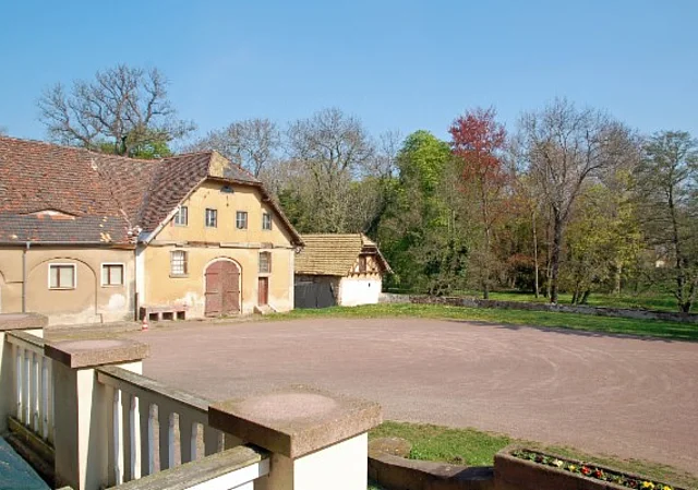Schloss Ostrau, Blick zum Schlosspark