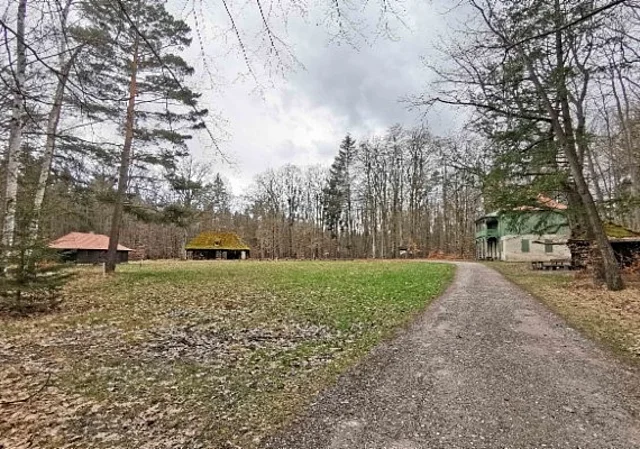 Weg zum Grünen Haus im Herbst