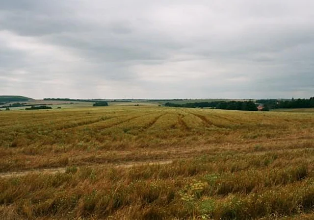 Feld zwischen Dobra und Hartroda