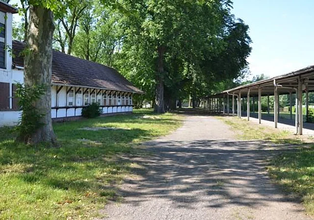 alter Totalisator, Dammtribüne