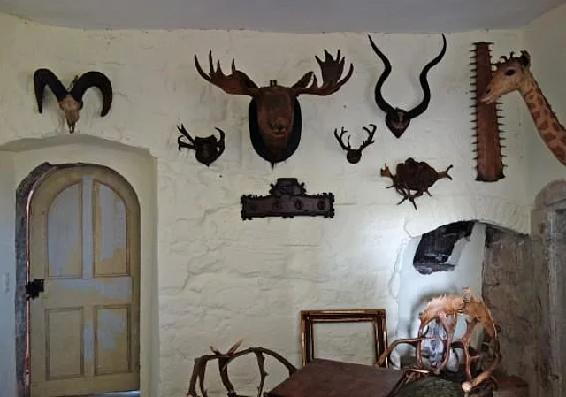 Taxidermische Sammlung