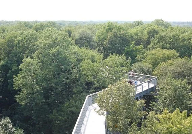 Baumkronenpfad