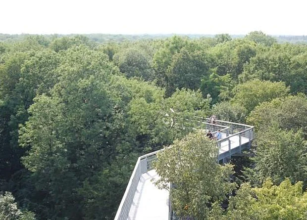Baumkronenpfad 