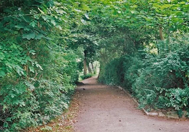Stadtpark, Blick nach Norden