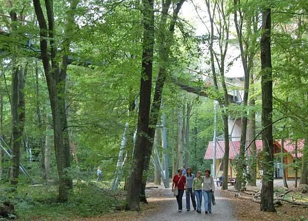 Baumkronenpfad 