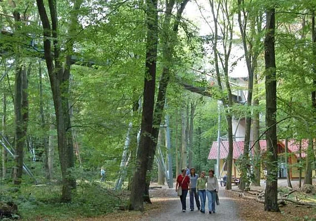 Baumkronenpfad
