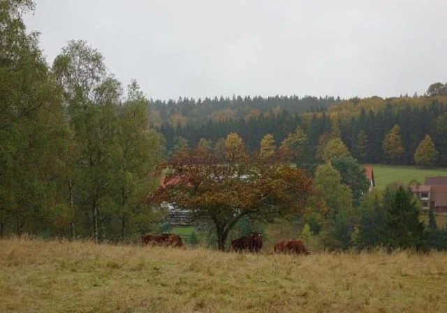 Rothesütter Alm