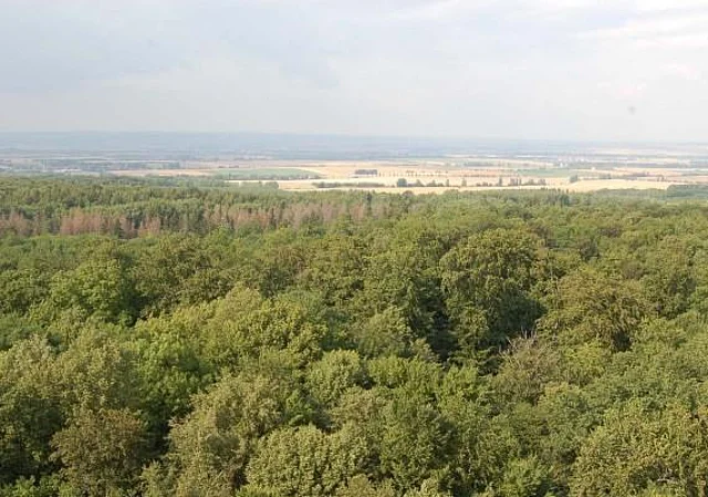 Blick vom Turm