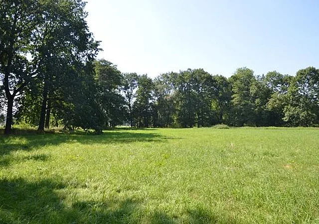 Park, Wiese in der Eulaaue
