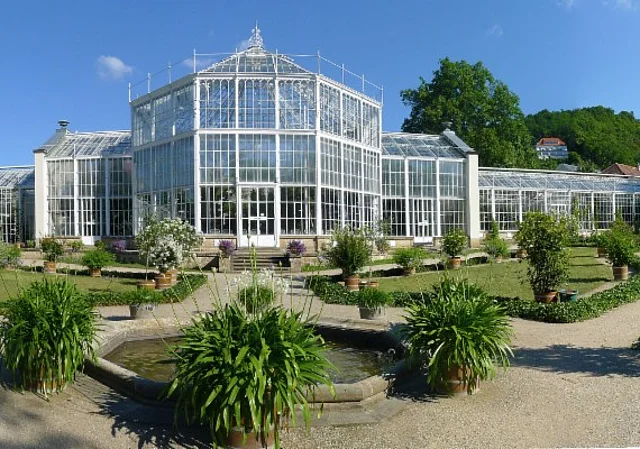 Palmenhaus