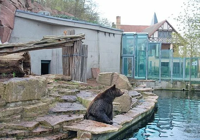 ehemalige Bärenanlage (heute Berberaffen)