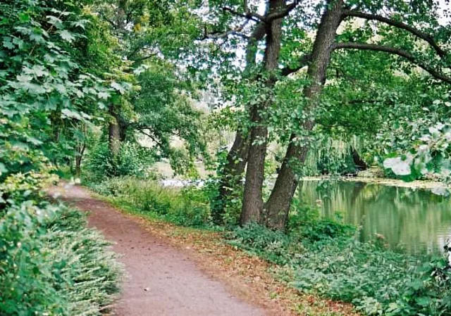 Stadtpark, Pfefferteich