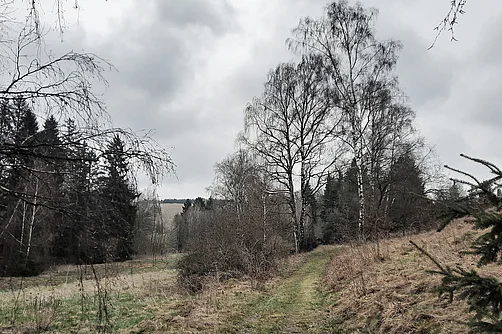 Glasebachtal Glasebachtal