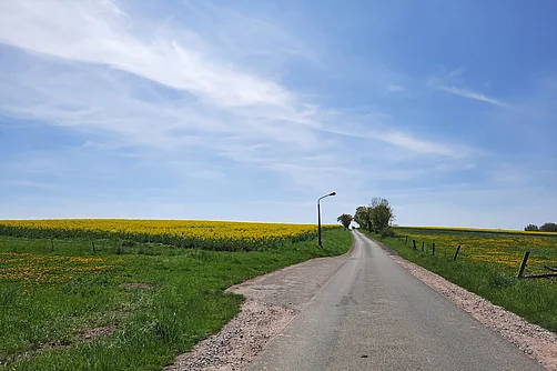 Altenburger Land Strasse zwischen Dobitschen und Lumpzig im Altenburger Land