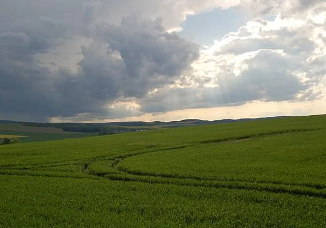 Felder bei Rottleben
