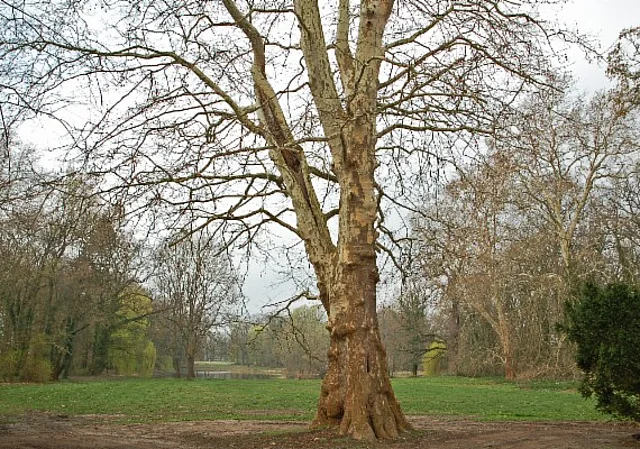 Rittergut Wittenmoor, Landschaftsgarten nach Westen
