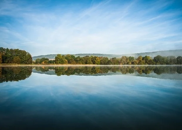 Blick vom Stausee Hohenfelden auf das Ufer 