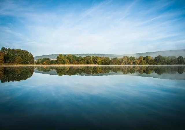 Blick vom Stausee Hohenfelden auf das Ufer