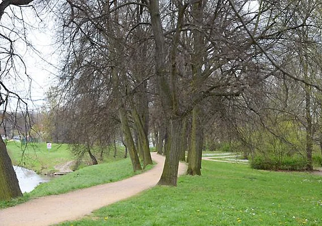 Lindenallee an der Zwickauer Mulde