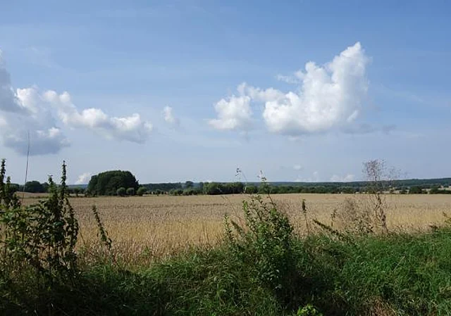 Blick vom Thomasteich
