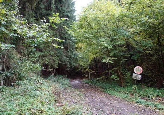 Hohlweg bei Steigerthal