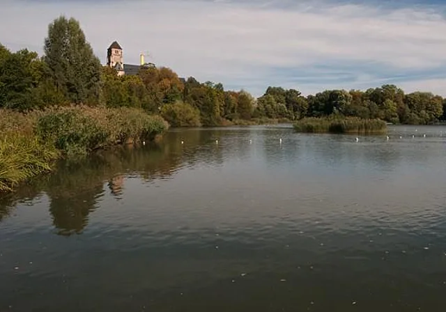 Blick zum Schloss