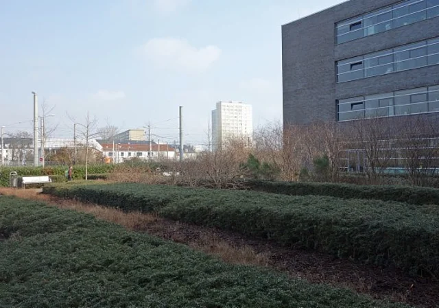 Nordseite Blick zum Johannesplatz