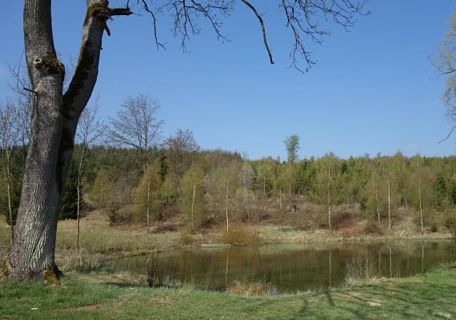 Teich bei der Finnhütte