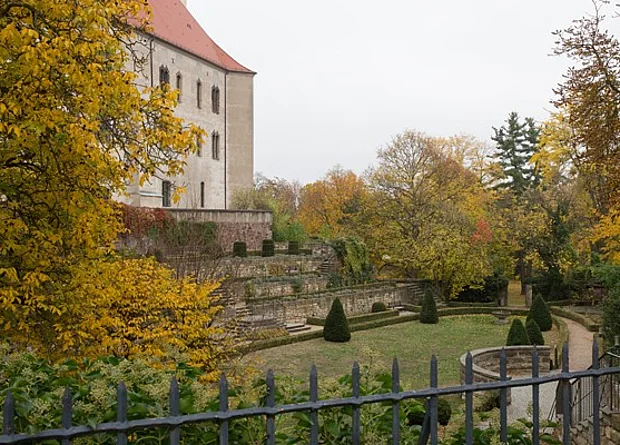 Rosengarten 