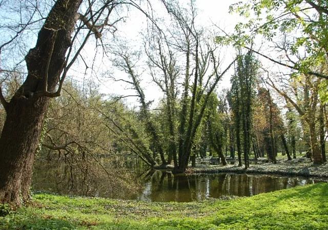 Schloss Ostrau, Schlosspark