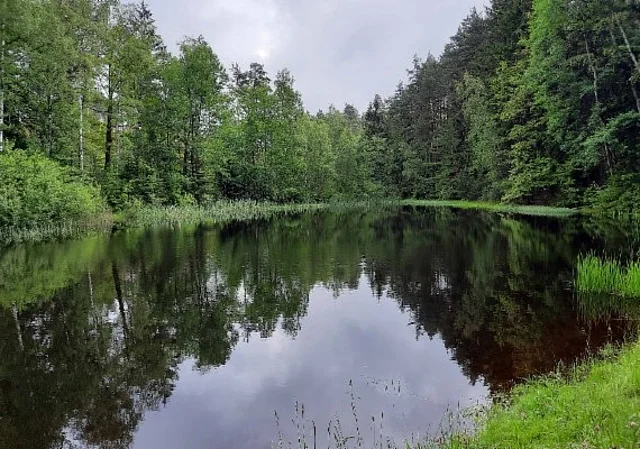 Teich am Siebshaus