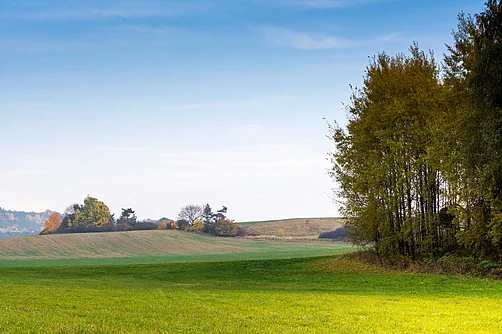Bad Berka im Herbst Bad Berka im Herbst