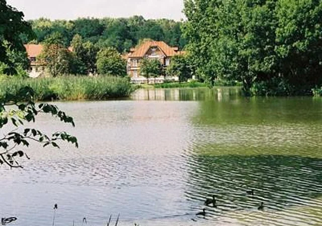 Breiter Teich, Borna, Blick zum Nordufer