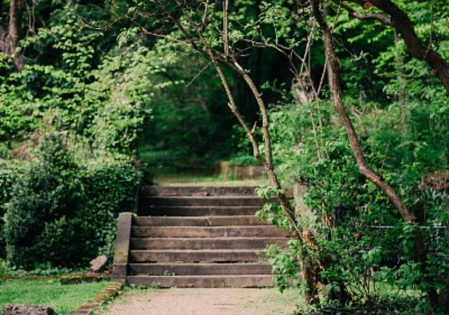 Treppe zum Park