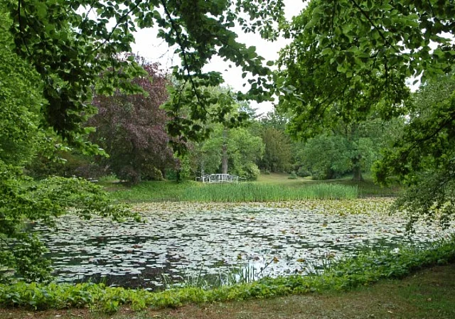 Schlosspark Tangerhütte, Schwanenteich
