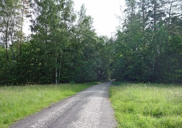 Waldweg befahrbar